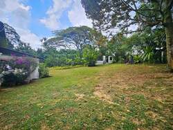 Bin Tong Park (D10), Detached #545980391